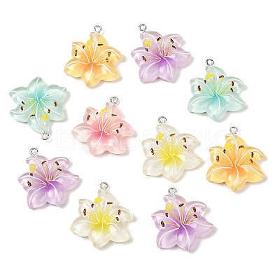 Resin Pendants RESI-D016-04B-1