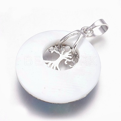 Natural Paua Shell Pendants G-F573-D04-1
