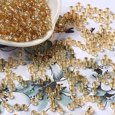 Glass Seed Beads SEED-H002-C-A036-1