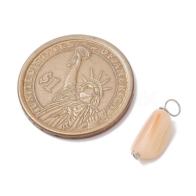 Natural Seashell Nuggets Charms PALLOY-JF02841-1