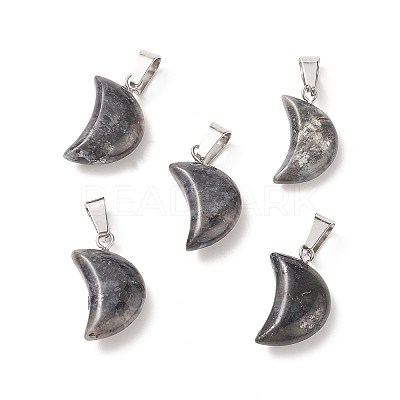 Natural Larvikite Pendants G-Q369-16-1