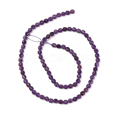 Natural Lepidolite/Purple Mica Stone Beads Strands G-A260-A04-01-1