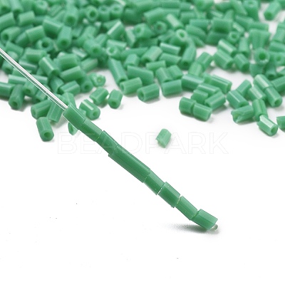 Two Cut Glass Seed Beads CSDB47-1