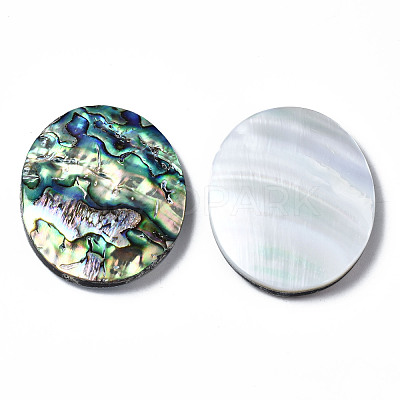 Natural Abalone Shell/Paua Shell Cabochons SSHEL-N034-87-1