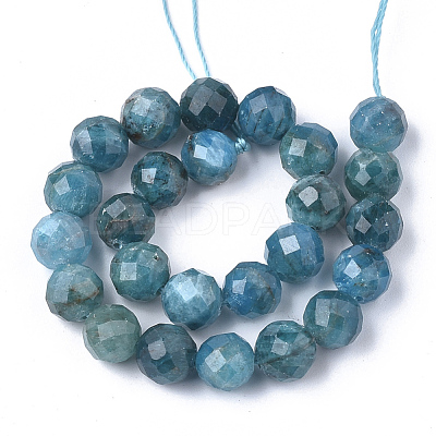 Natural Apatite Beads Strands G-S345-10mm-008-1
