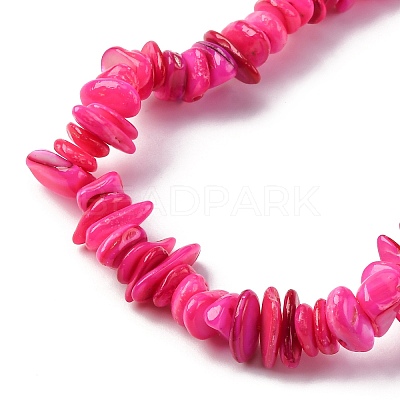 Natural Freshwater Shell Beads Strands BSHE-I016-01G-1