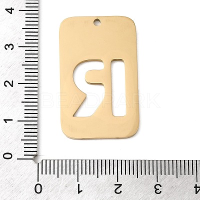 304 Stainless Steel Pendants STAS-D200-01R-G-1