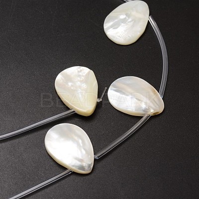 Natural Trochid Shell/Trochus Shell Beads Strands X-SSHEL-K009-12-1