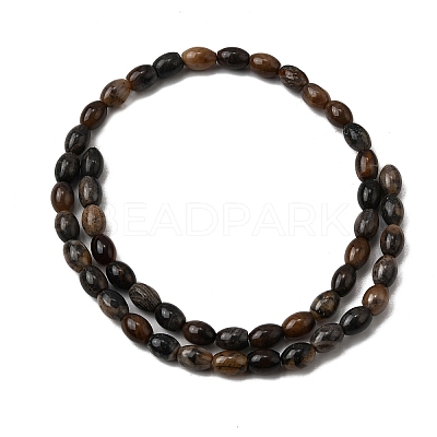 Natural Petrified Wood Beads Strands G-K362-I11-02-1