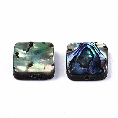 Natural Abalone Shell/Paua Shell Beads SSHEL-T014-12B-1