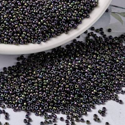 MIYUKI Round Rocailles Beads X-SEED-G009-RR2019-1