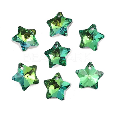 Electroplate Glass Charms GLAA-H104-A05-1
