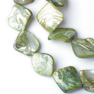 Natural Dyed Sea Shell Beads S00EA041-1