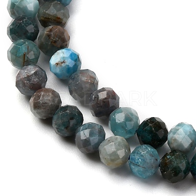 Natural Apatite Beads Strands X-G-A276-C08-4mm-01-1