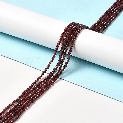 Natural Garnet Beads Strands X-G-I341-09B-1