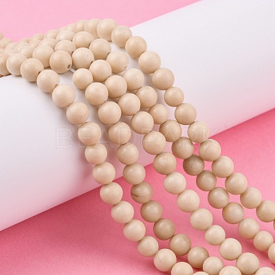 Natural Fossil Beads Strands G-E110-6mm-2-1