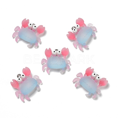 Opaque Resin Pendants RESI-D055-092P-1