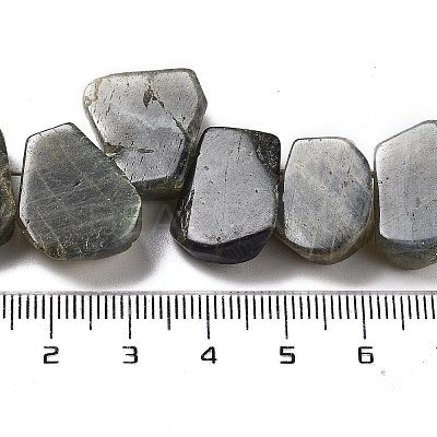 Natural Labradorite Beads Strands G-P528-K10-01-1