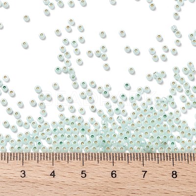 TOHO 11/0 Round Beads X-SEED-TR11-PF2118-1