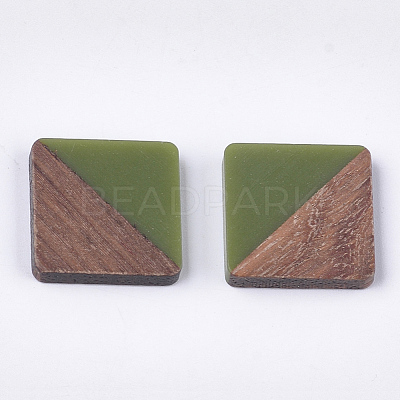 Resin & Wood Cabochons X-RESI-S358-90C-1
