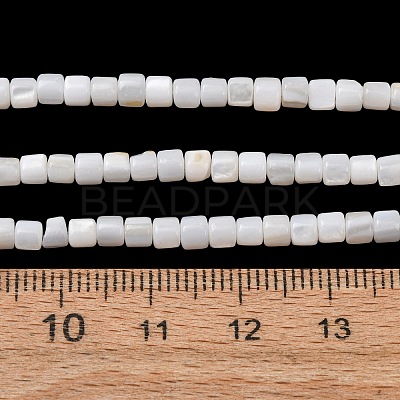 Natural Freshwater Shell Beads Strands SH-CBA2978-21C-1