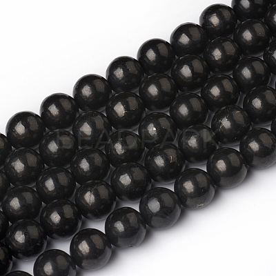 Natural Shungite Beads Strands G-I271-C03-10mm-1