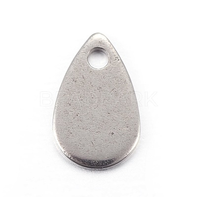 Tarnish Resistant Stainless Steel Charms STAS-L211-02A-P-1
