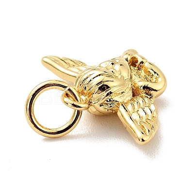 Rack Plating Brass Pendants KK-E015-23G-1