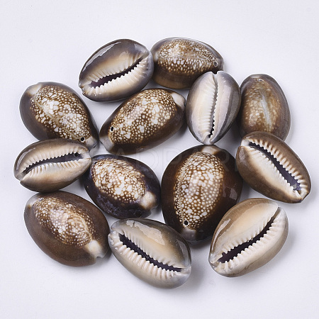 Natural Cowrie Shell Pendants SSHEL-N034-24-1