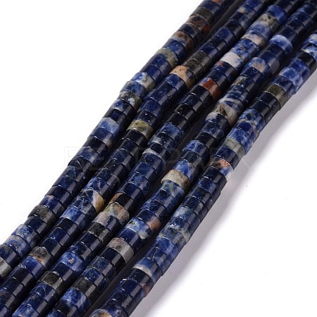 Natural Sodalite Beads Strands G-C240-04A-1