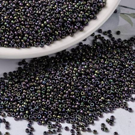 MIYUKI Round Rocailles Beads X-SEED-G009-RR2019-1