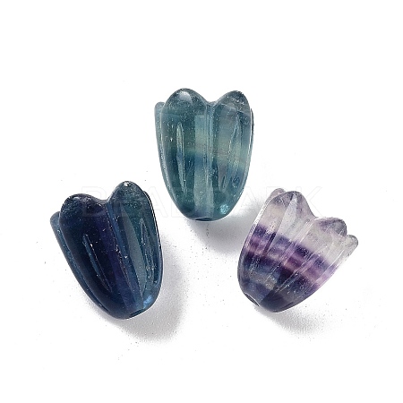 Natural Fluorite Beads G-A222-03F-1