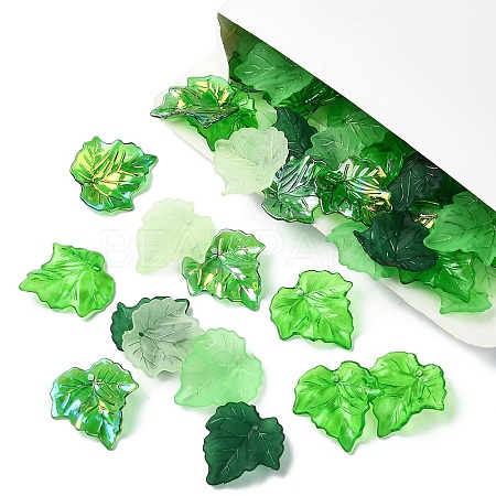 100G 5 Styles Transparent Acrylic Pendants TACR-YW0002-19-1