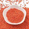 Baking Paint Glass Seed Beads X-SEED-S042-05B-84-2