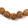 Natural Rudraksha Beaded Stretch Bracelet BJEW-N029-001-2