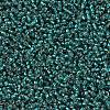 MIYUKI Round Rocailles Beads X-SEED-G007-RR0030-3