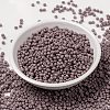 MIYUKI Round Rocailles Beads X-SEED-G008-RR2034-2