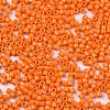 FGB 11/0 Grade A Glass Seed Beads X-SEED-S030-1019-2