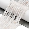Natural Rainbow Moonstone Beads Strands G-P500-01C-01A-1