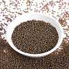 MIYUKI Round Rocailles Beads X-SEED-G009-RR3542-2