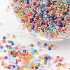 12/0 Grade A Round Glass Seed Beads X-SEED-Q010-FM-1