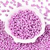 Baking Paint Pearlized Glass Seed Beads SEED-T008-03M-2