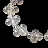 Natural White Agate Beads Strands G-P520-A01-01-4
