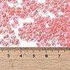Glass Seed Beads SEED-K009-08B-05-4