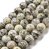 Faceted Natural Fire Crackle Agate Beads Strands G-F447-12mm-H03-2