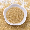 MIYUKI Delica Beads SEED-X0054-DB0100-2
