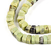 Natural Serpentine Beads Strands G-T140-50-3