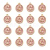 Golden Plated Alloy Enamel Charms X-ENAM-S118-07C-2