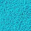 MIYUKI Round Rocailles Beads SEED-X0055-RR4480-3