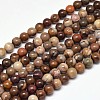 Natural Petrified Wood Round Bead Strands G-F266-08-4mm-1